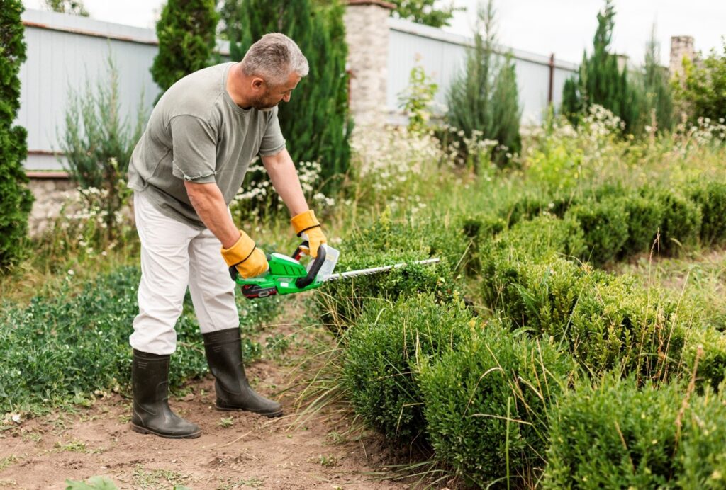 commercial lawn service in Davenport