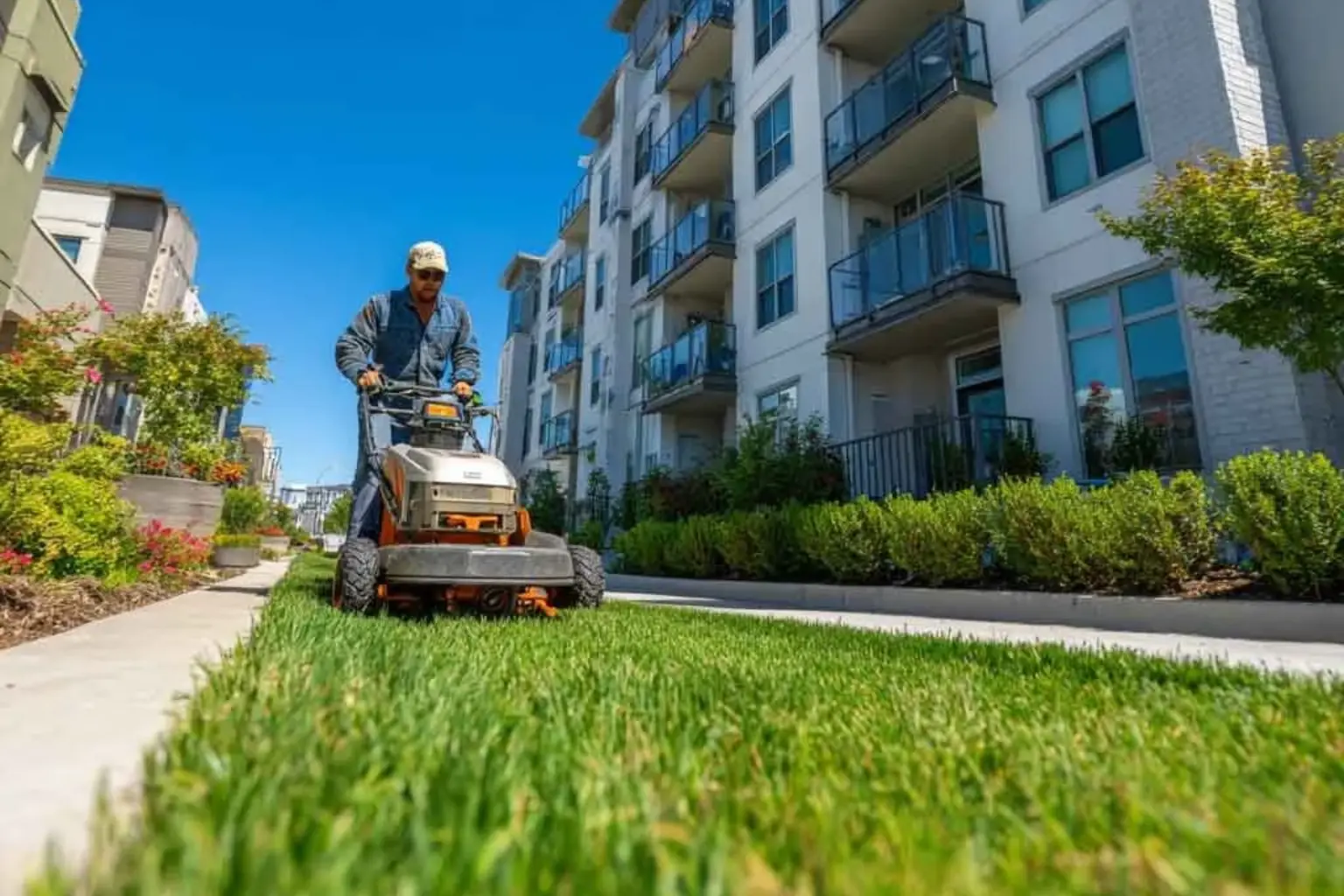 Commercial Lawn Service